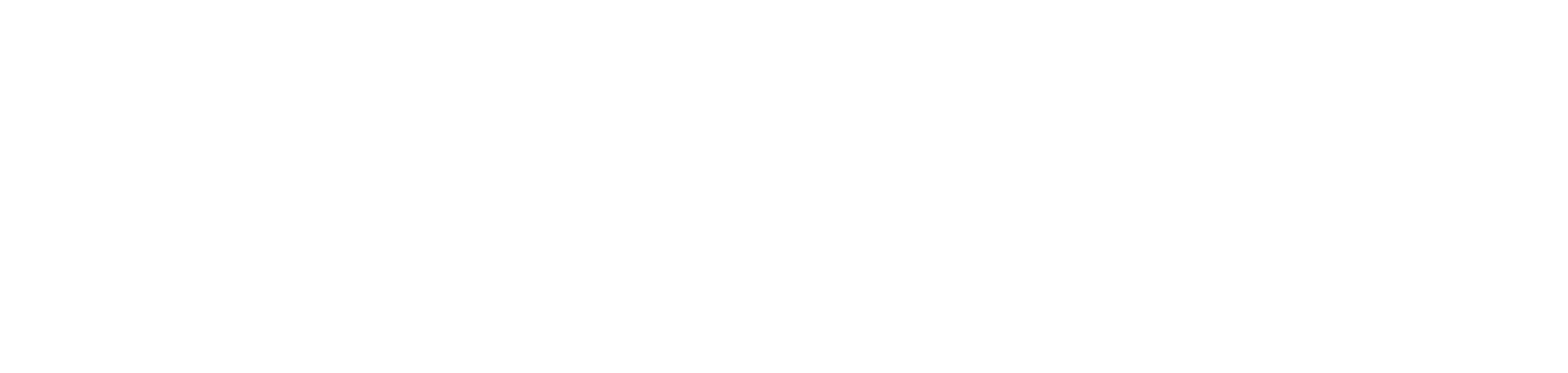 TNT Studio